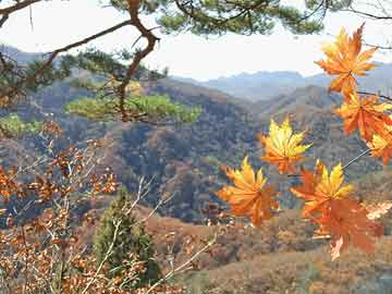 今曰原油价最新消息